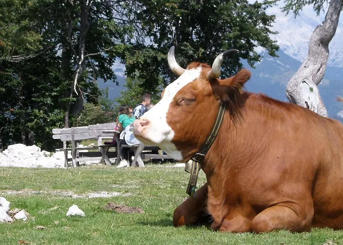 Apartman Eiche By Interhome